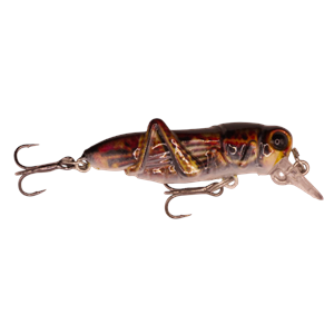 Kokoda Cricket 55mm - Brown