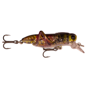 Kokoda Cricket 55mm - Olive