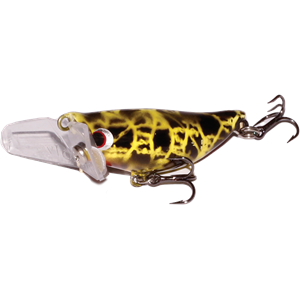 Taylor Made Basscada - Corroboree Frog