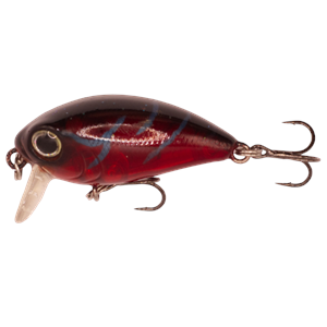 Kody Shallow 36 - 134 Trans Red
