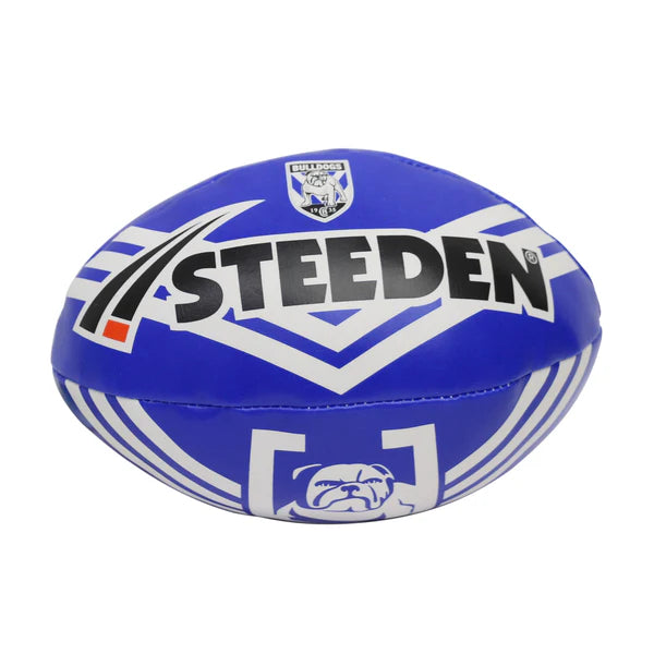 Steeden NRL Team Sponge (2025)