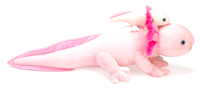 Mom & Baby Axolotl