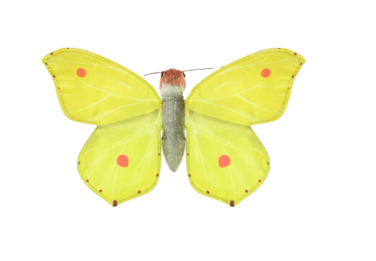 Butterfly Common Brimstone