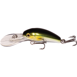 JAZLures Cozzie 43 - C313 Green Silver