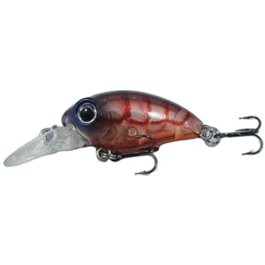 Kody Shallow 36 - 132 Brown Shrimp