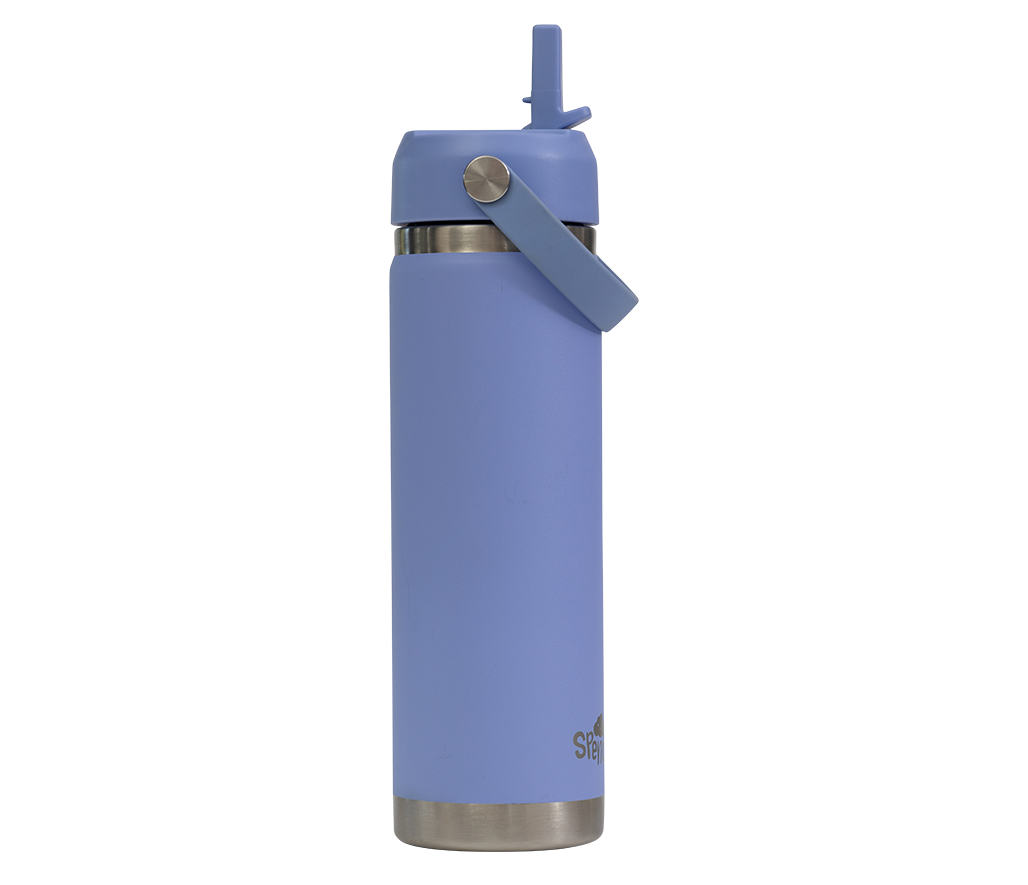 Big Insulated Water Bottle 650ml - Periwinkle